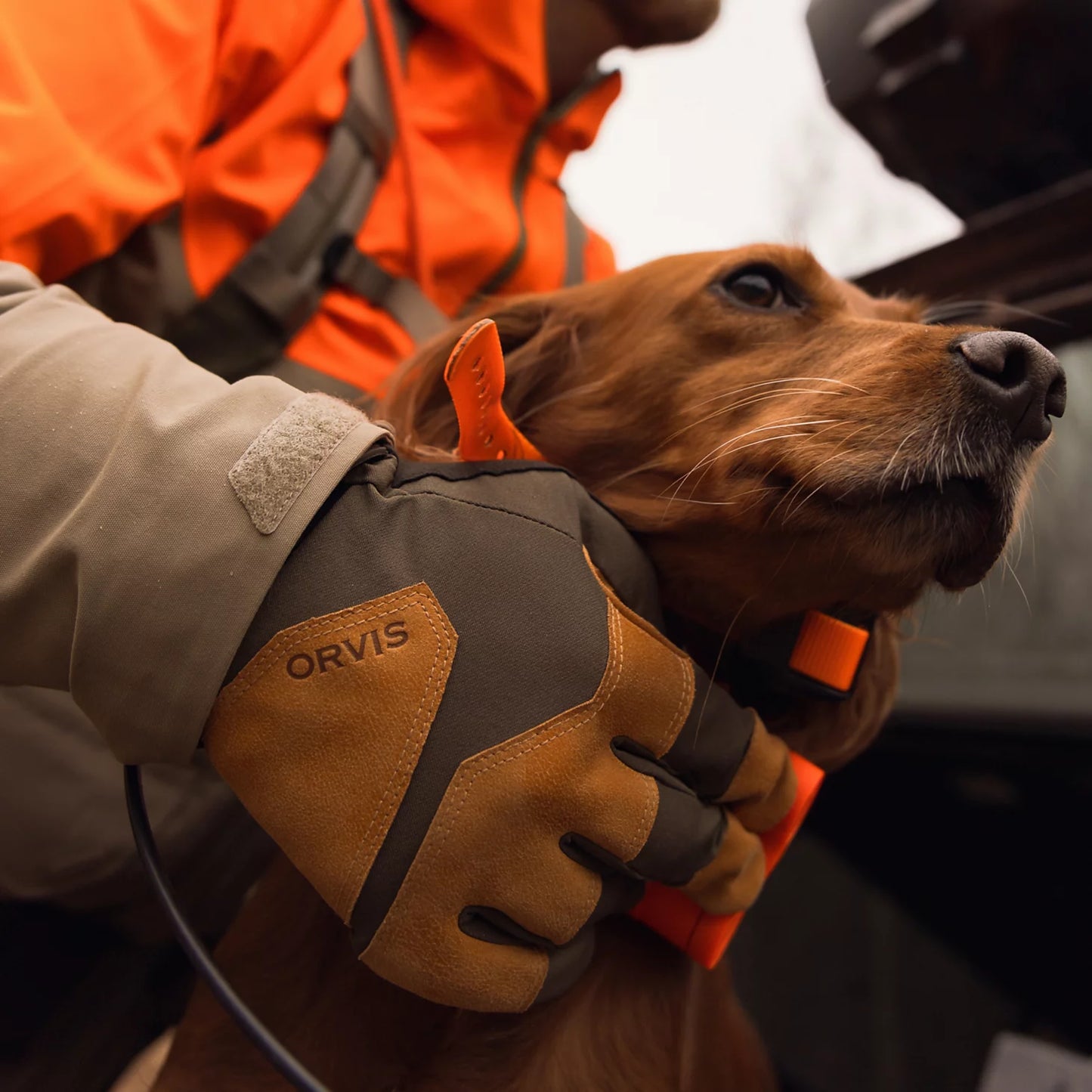PRO Waterproof Hunting Gloves / Orvis