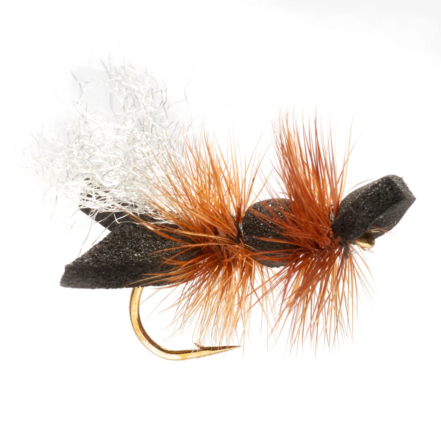BLACK,10