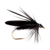 BLACK,14