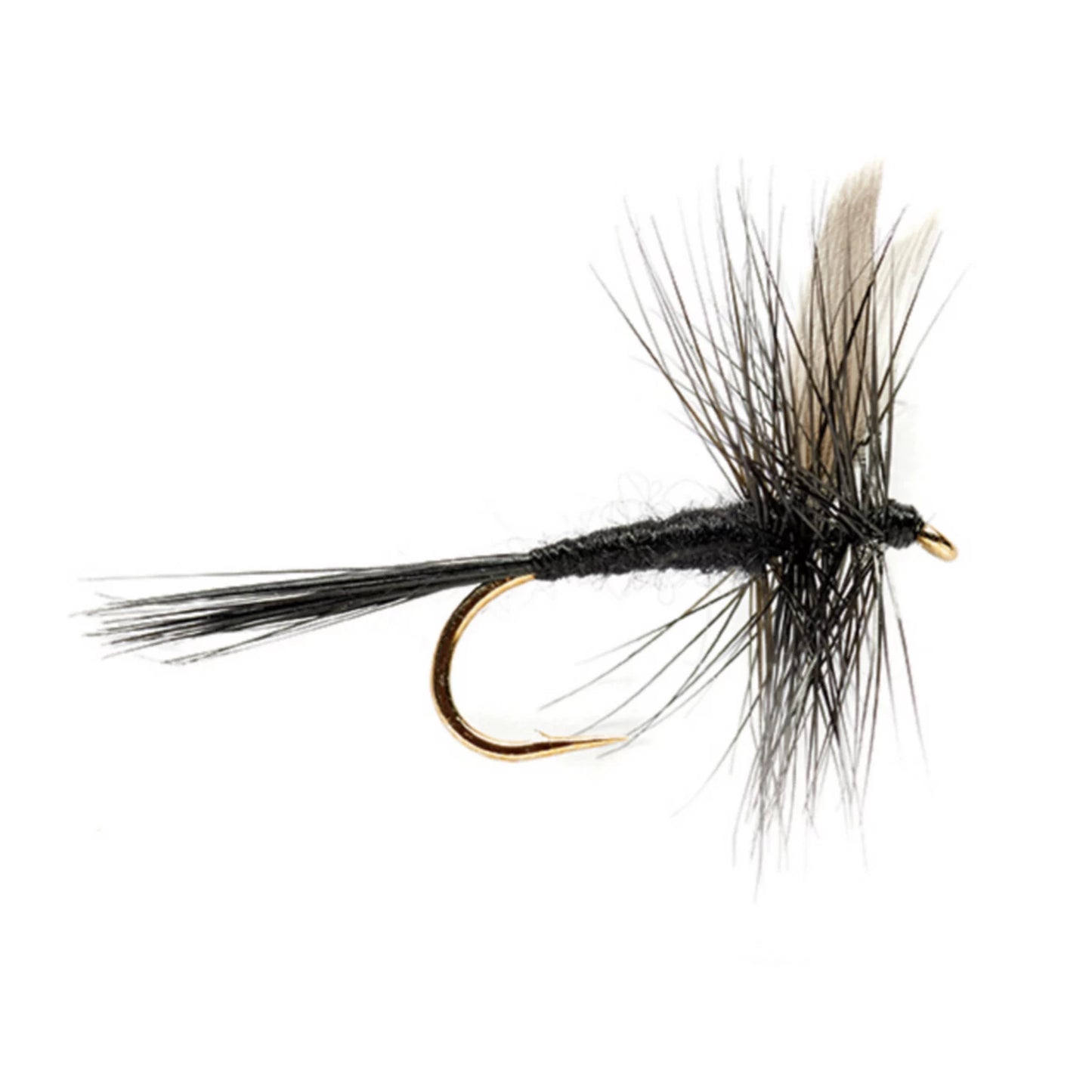 Black Gnat / Orvis