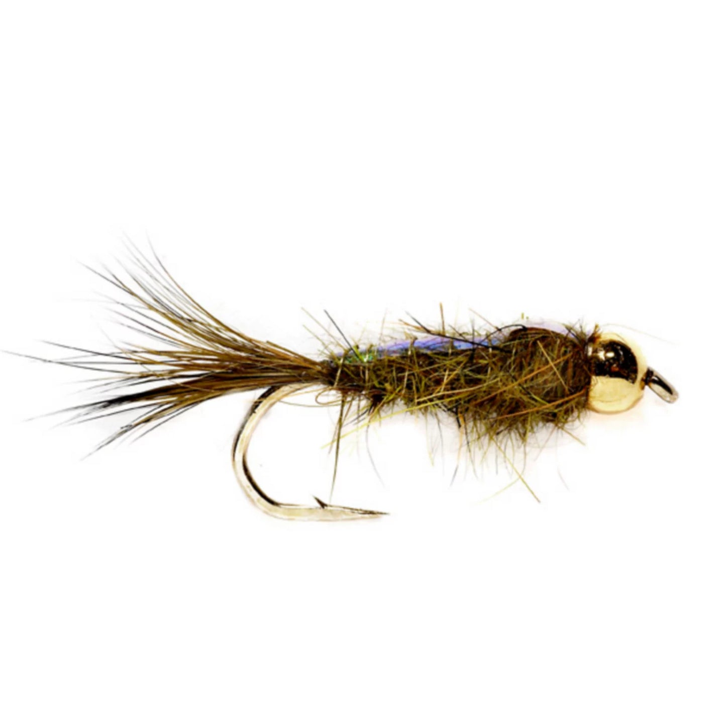 OLIVE,8