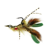 OLIVE,4