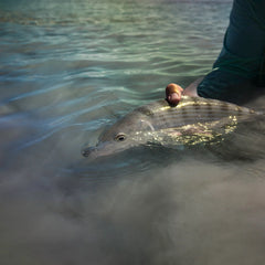 Belize Saltwater Fly Fishing School / Orvis
