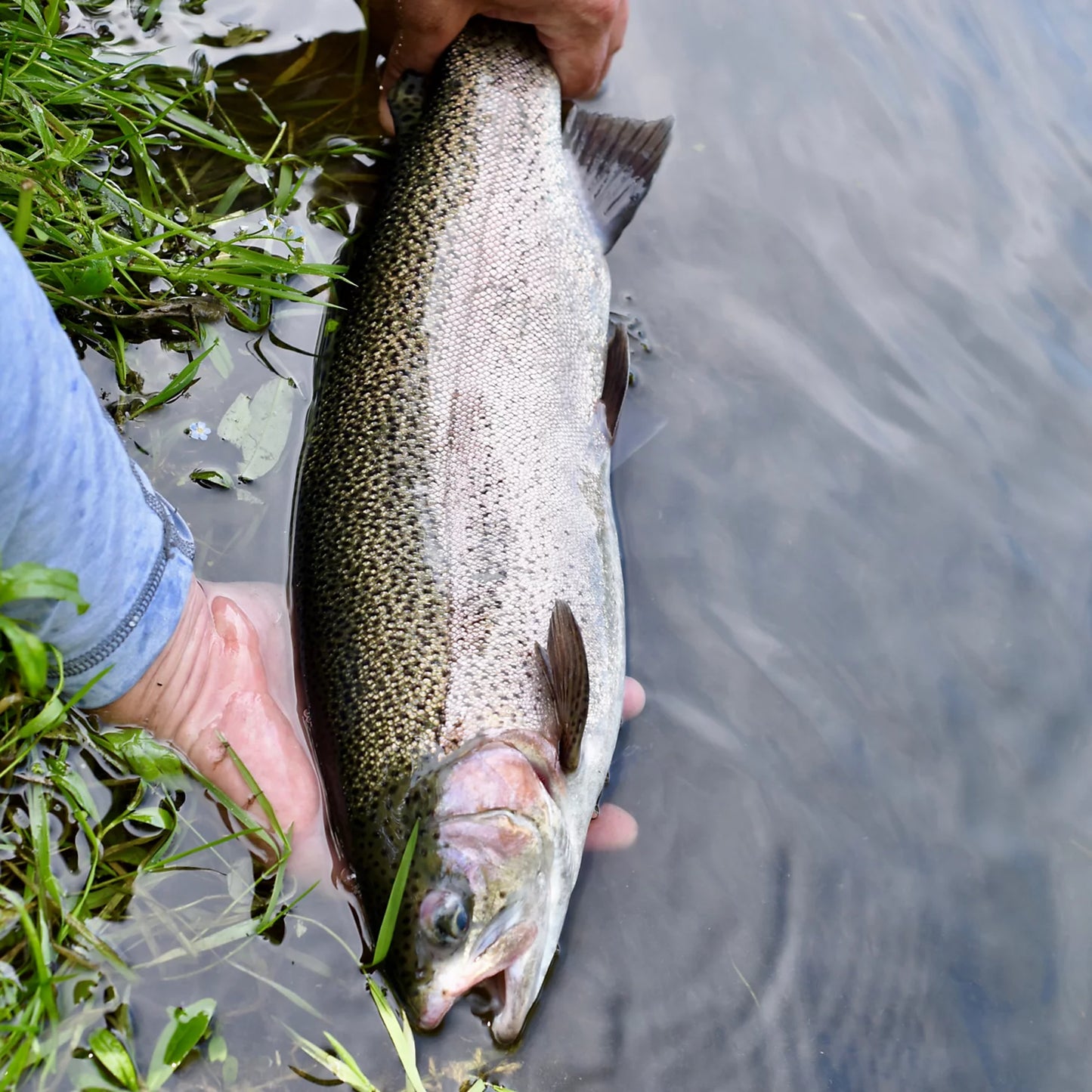 Clyde, Ohio Fly Fishing School / Orvis