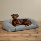 LIGHT GRAY,MEDIUM