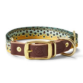 BROWN TROUT,S/M