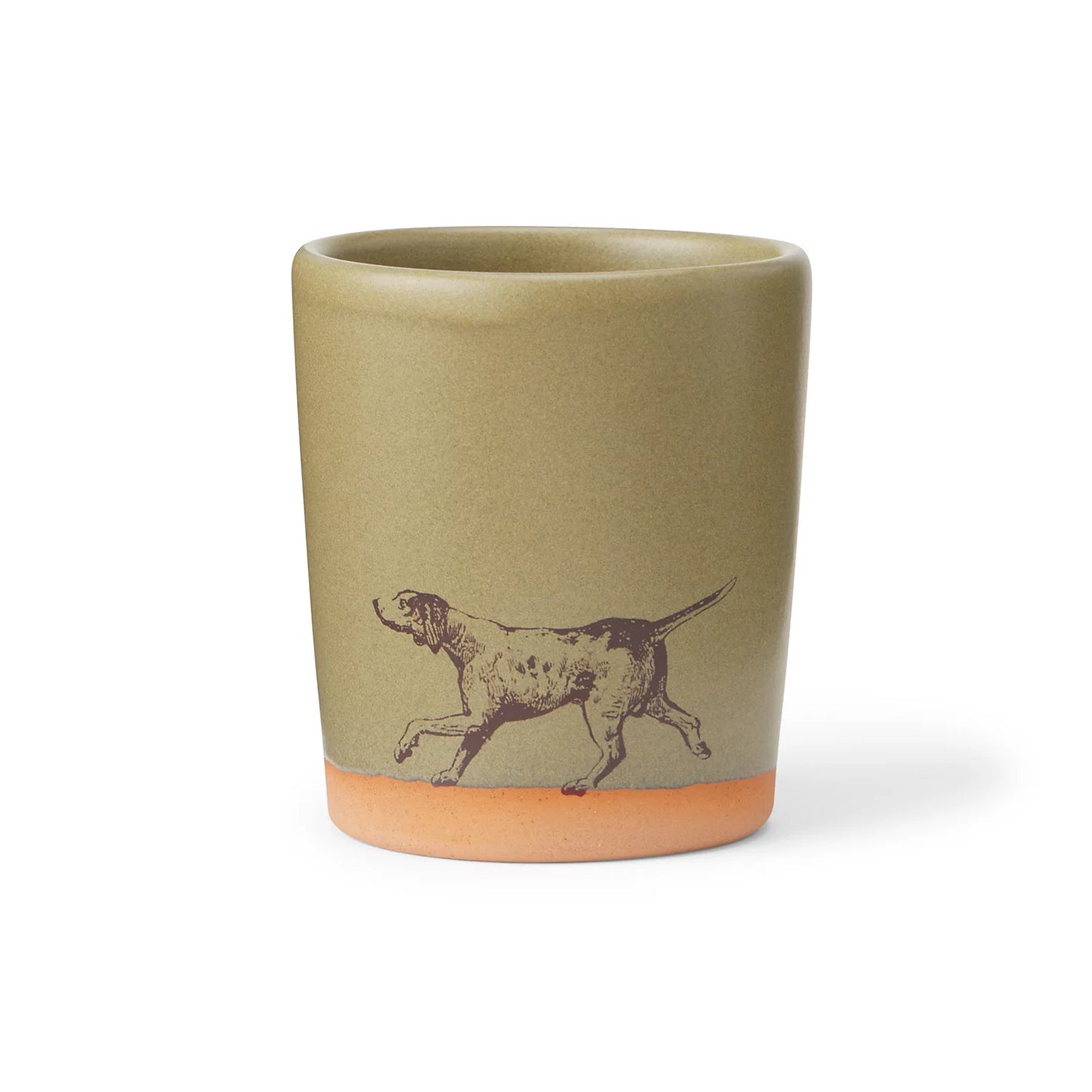 POINTER DOG GREEN