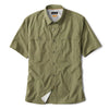 TARRAGON/LODEN