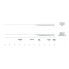 Scientific Anglers Magnitude Smooth Grand Slam Clear-Tip Fly Line / Orvis
