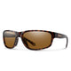 TORTOISE FRAME BROWN GLASS LENS