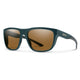 FOREST/BROWN POLARIZED LENS