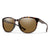 TORTOISE/BROWN POLARIZED LENS