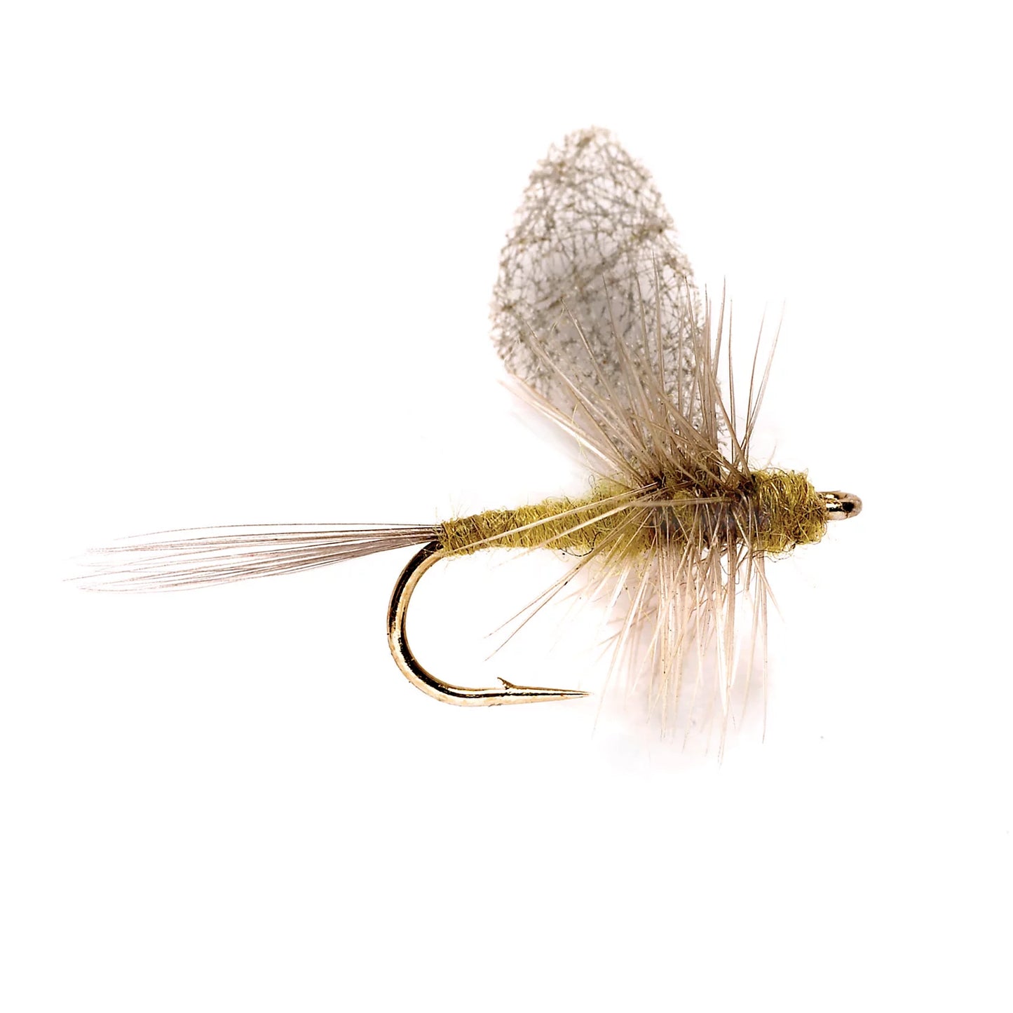 Cripple Dun BWO / Orvis