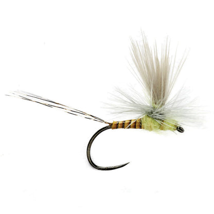 SULPHUR,12