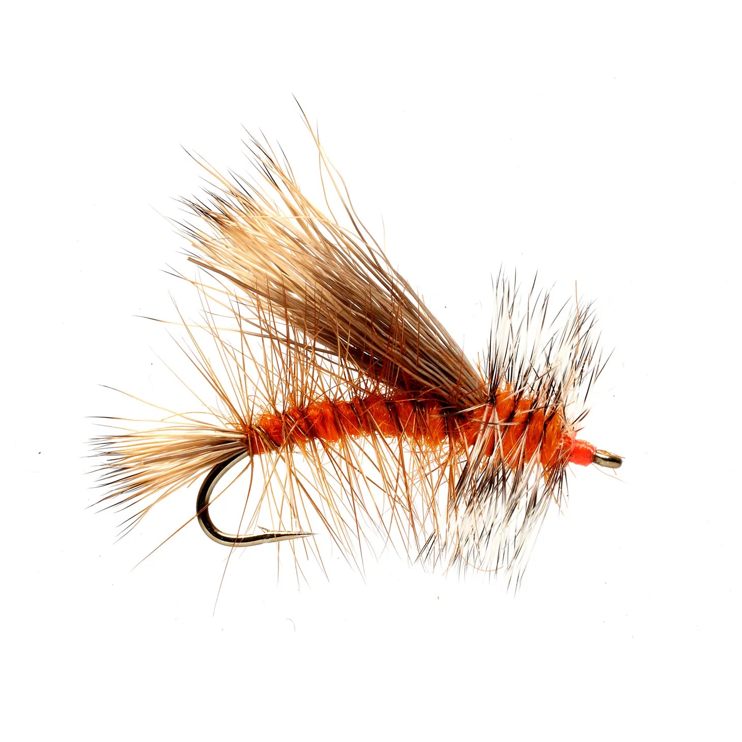 ORANGE,8