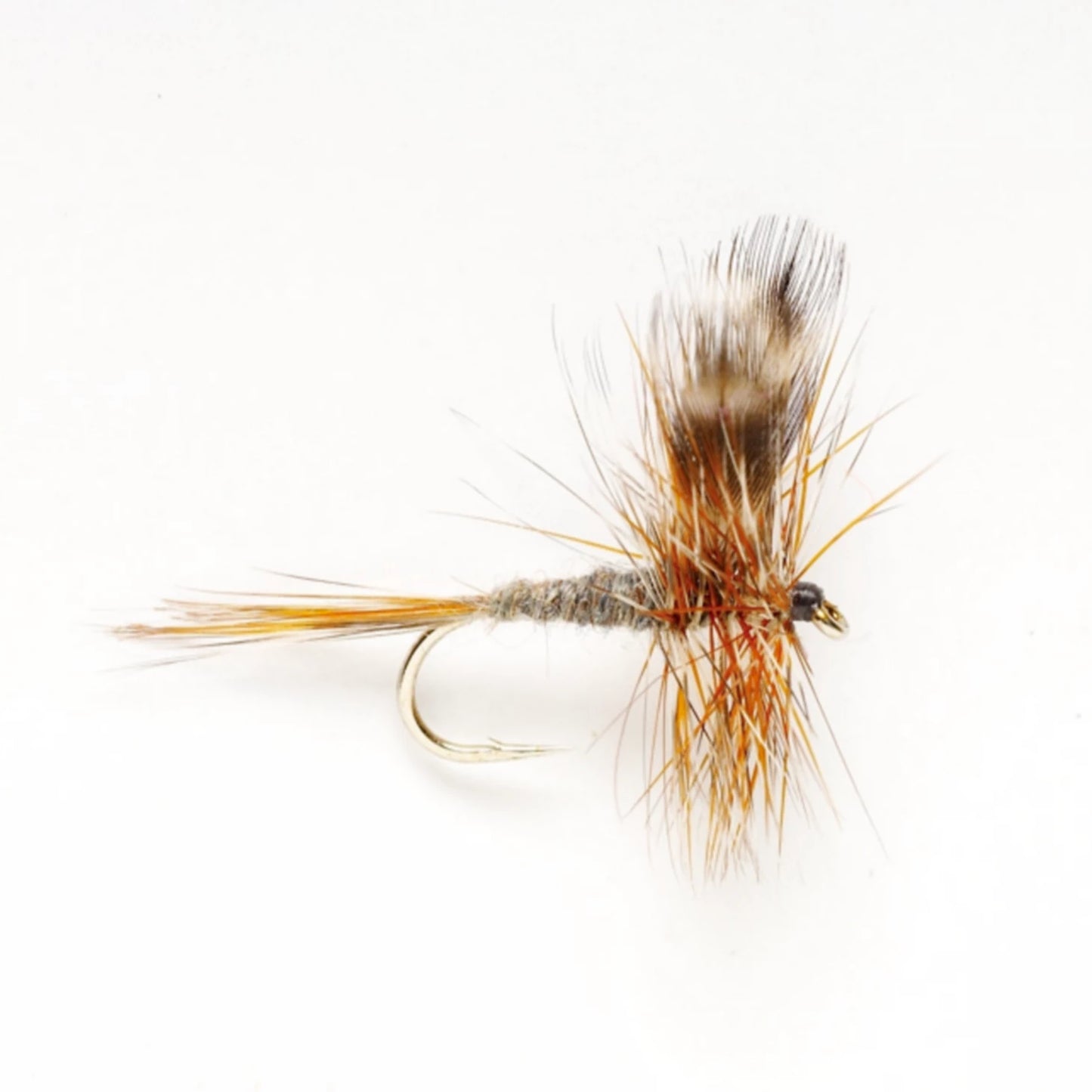 Adams / Orvis