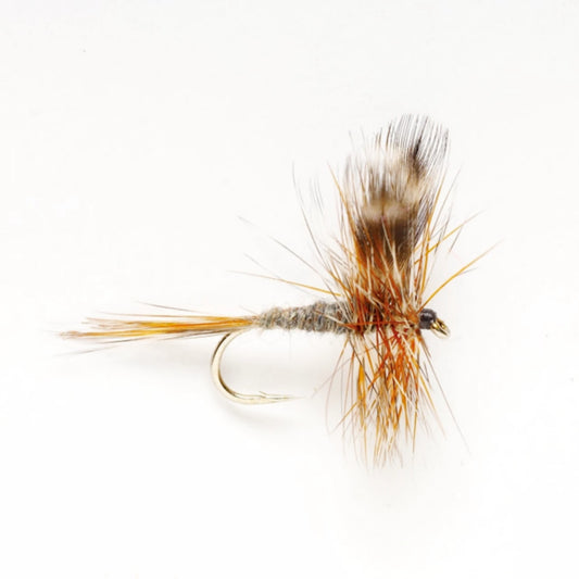 Adams / Orvis