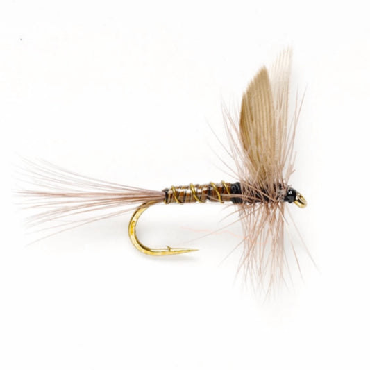 Blue Quill / Orvis