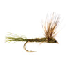 BWO