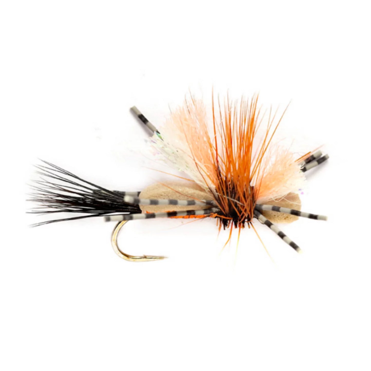ORANGE,10