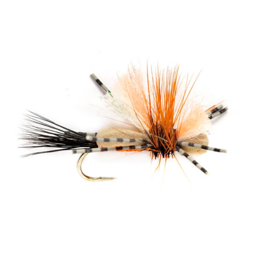 ORANGE,10