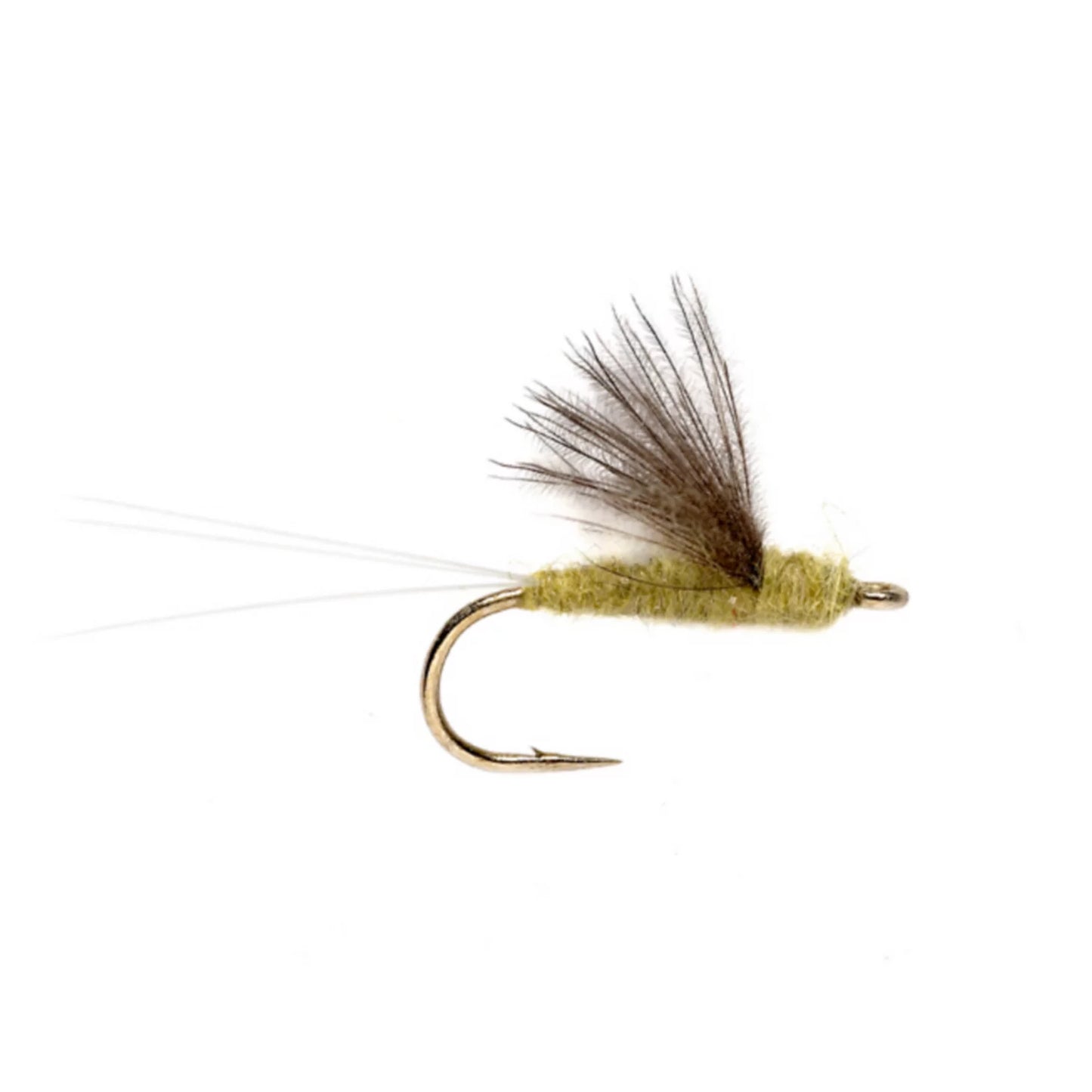 RS2 / Orvis