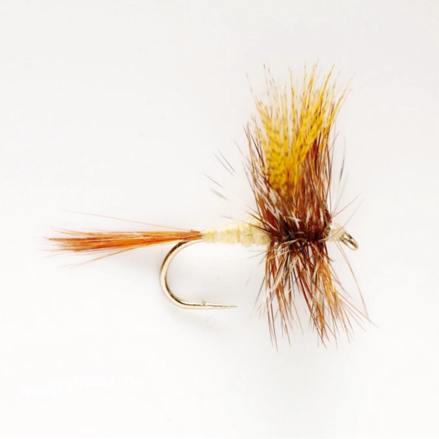 March Brown / Orvis