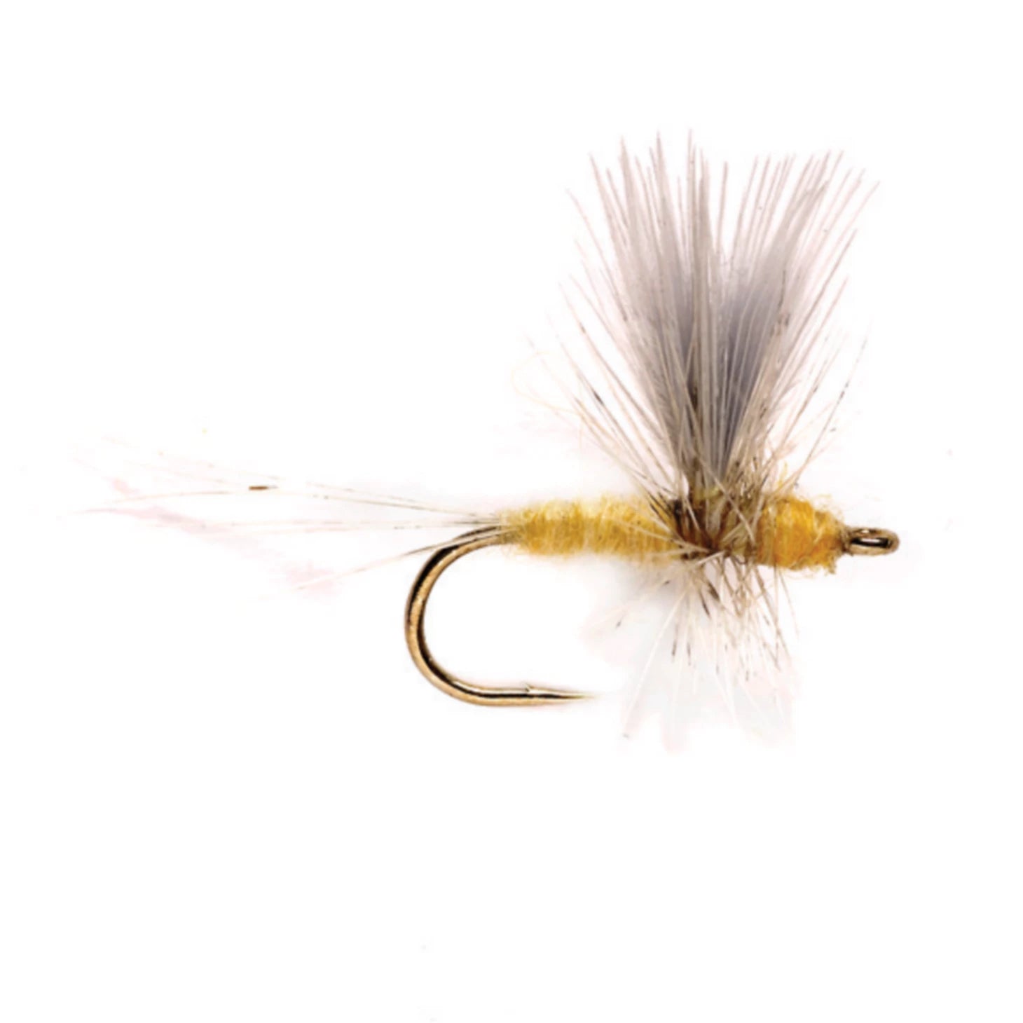 Pale Morning Dun Thorax / Orvis