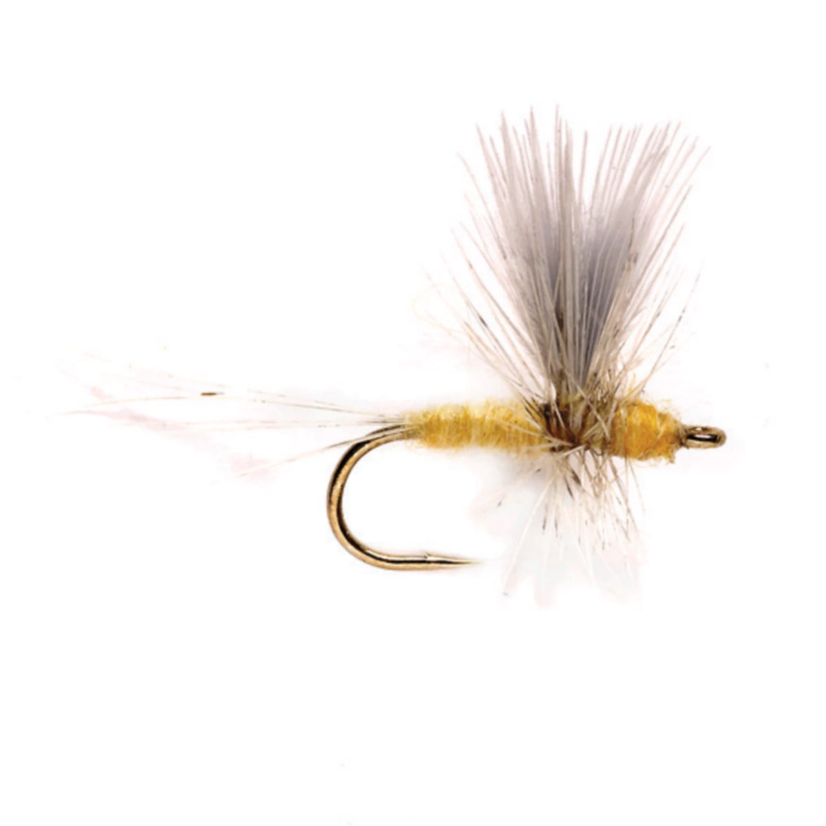 Pale Morning Dun Thorax / Orvis