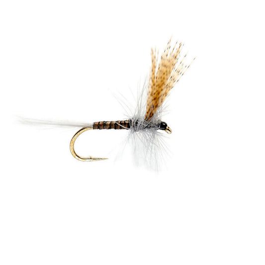 Quill Gordon / Orvis