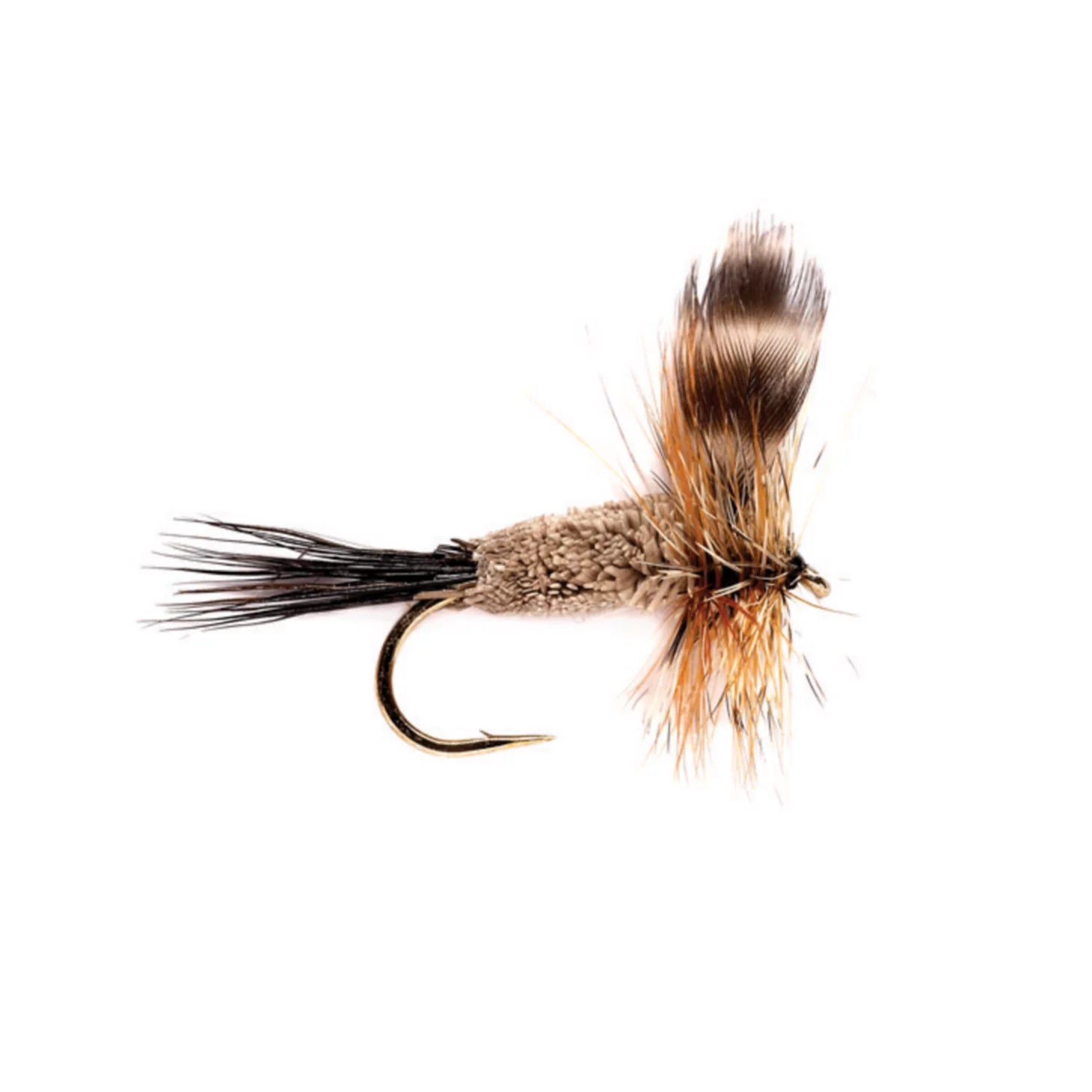 Irresistible / Orvis