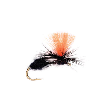 Travis Para Ant / Orvis