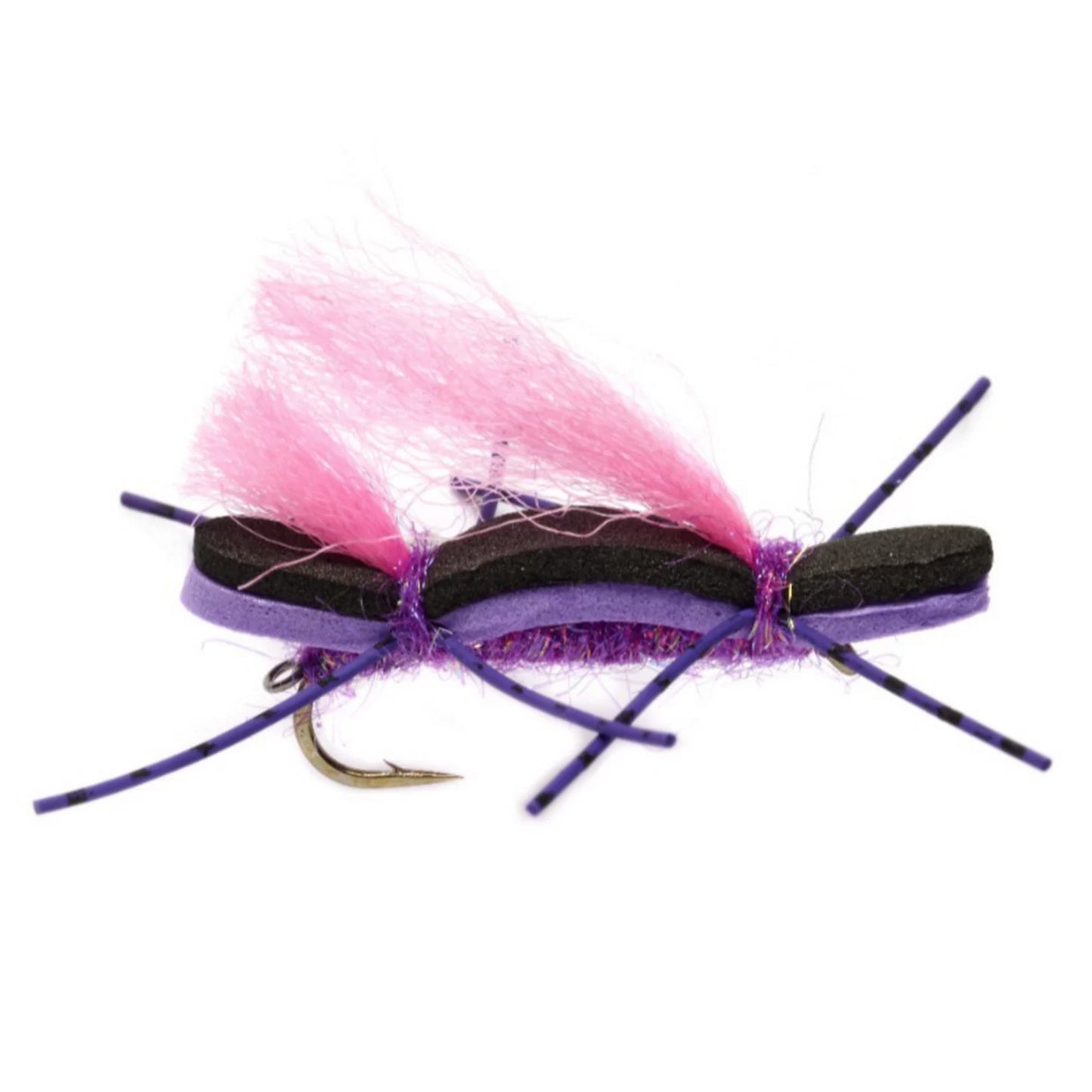 PURPLE,4