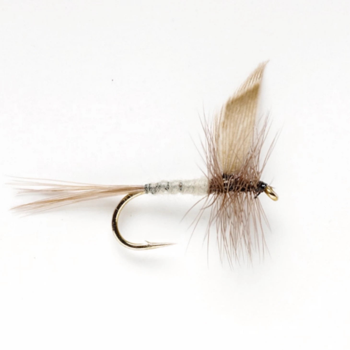 Blue Dun / Orvis