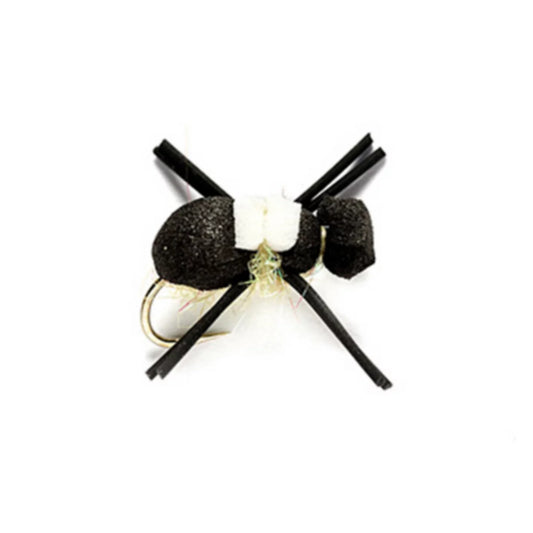 Bank Beetle / Orvis