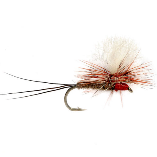 Dave's Oh-So-Iso / Orvis
