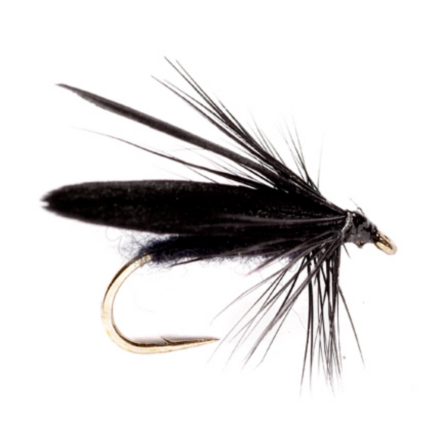 BLACK,14