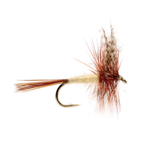 Gray Fox / Orvis