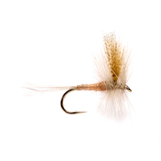 Light Hendrickson / Orvis