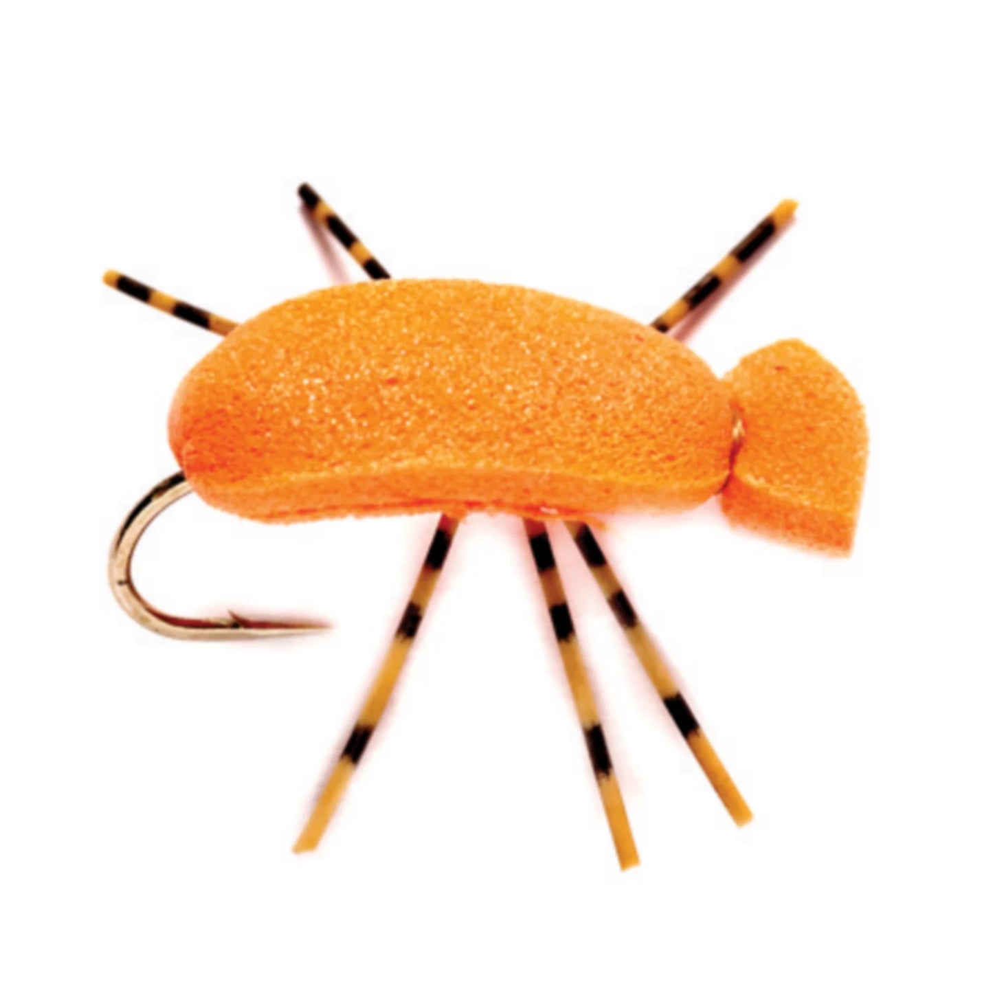 Indicator Beetle / Orvis