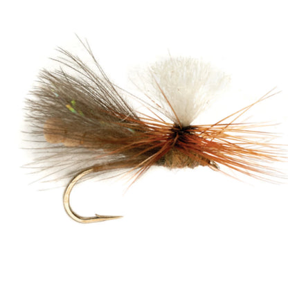 NBK Caddis Dry / Orvis