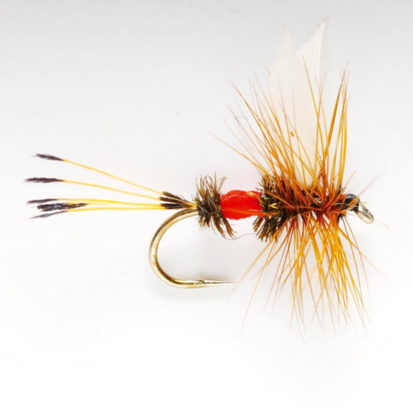 Royal Coachman / Orvis