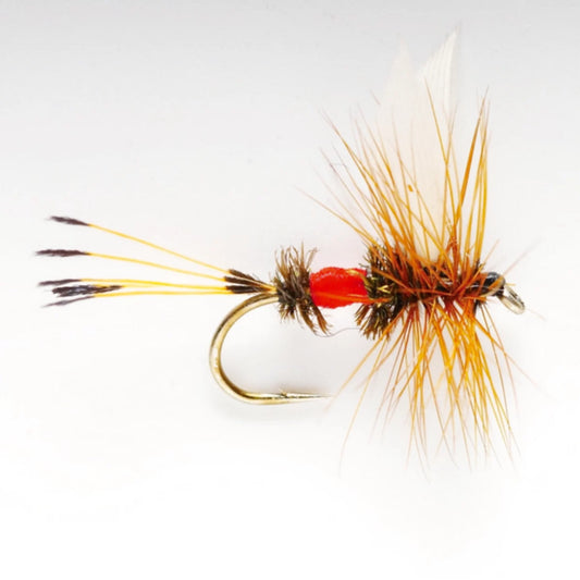 Royal Coachman / Orvis