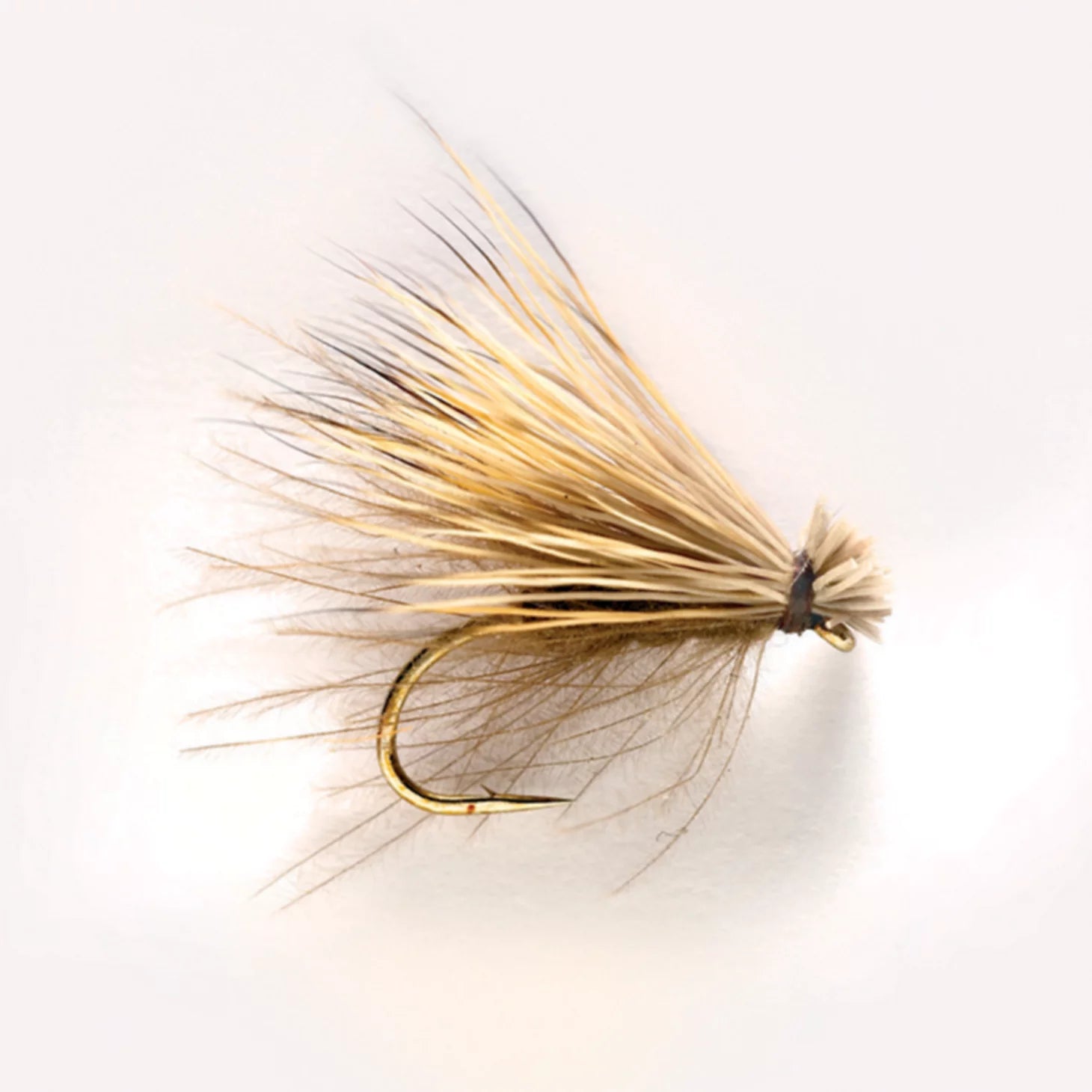 Low Rider CDC &amp; Elk Caddis / Orvis
