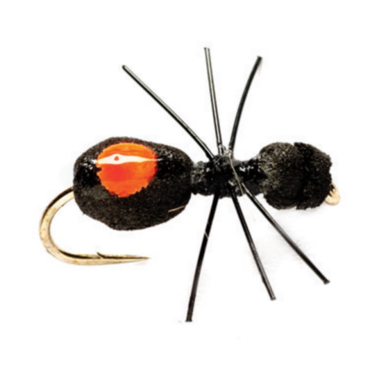 Quick Sight Foam Ant / Orvis