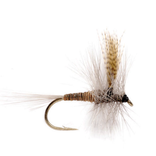 Red Quill / Orvis