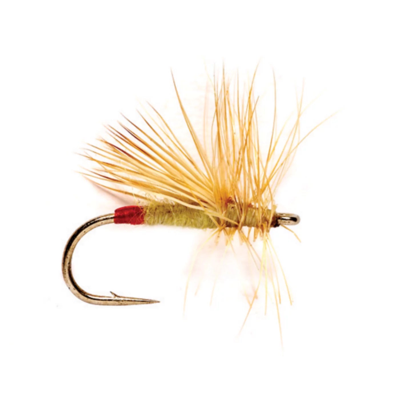 Yellow Sally / Orvis