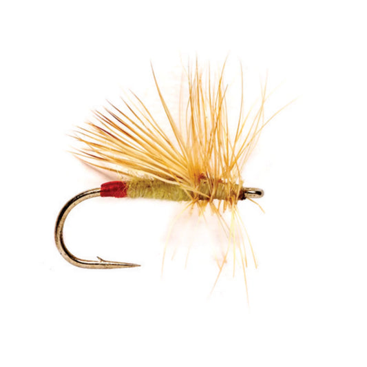 Yellow Sally / Orvis