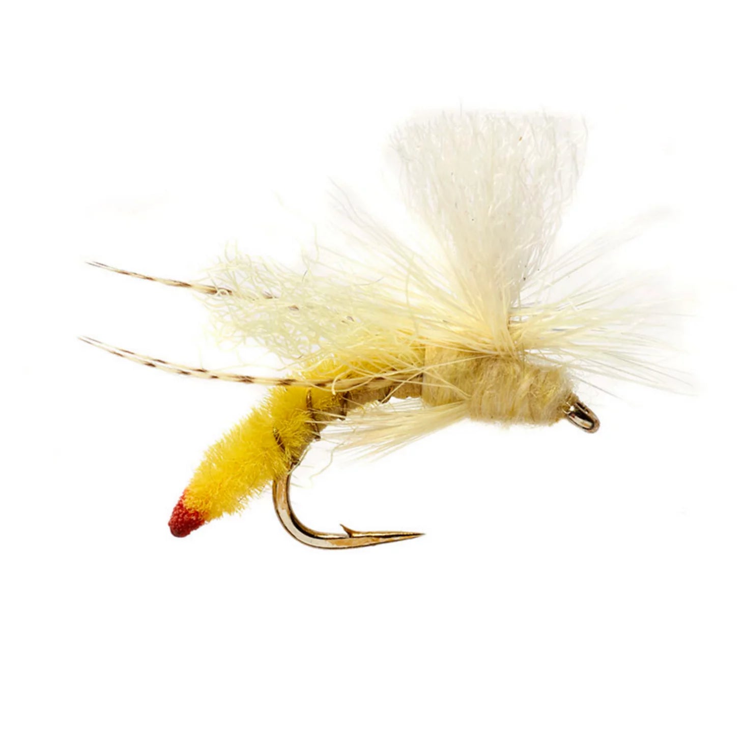 Spotlight Yellow Sally / Orvis
