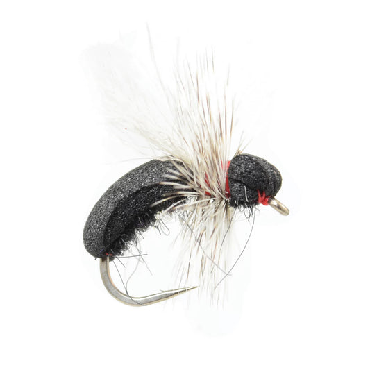 Black Toast Ant / Orvis